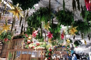 В Кировской области 31 декабря объявили выходным