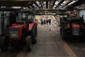 Замороженный “Тепличный”