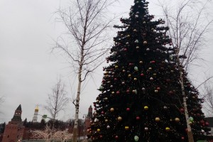 Первые законы нового 2021 года