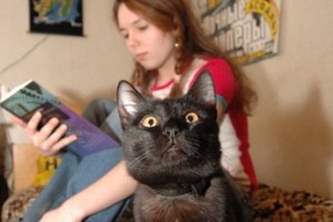 Ректор, покажи платежку