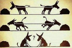 Когда мы работаем вместе