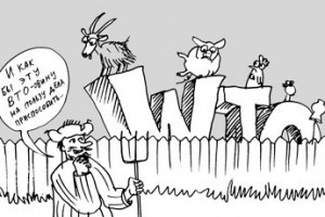Страх и ненависть к ВТО