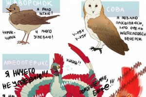 Три типа людей