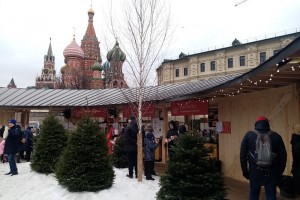 В Кремле не собираются сокращать новогодние каникулы из-за увеличения майских