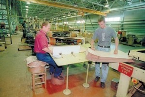 Собака на картоне