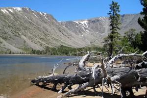 Заповедные места