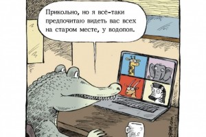 Выходите с удаленки...