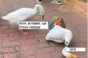 Вставай, еще только среда