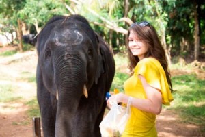 Турпоездка за три моря