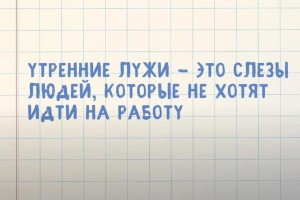 Утренние лужи