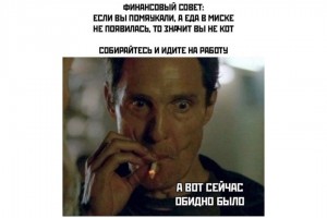 Признак, что вы не кот