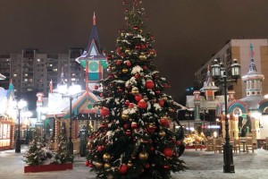 Депутат Госдумы предложил сделать 31 декабря постоянным выходным