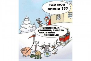 Где мои олени?