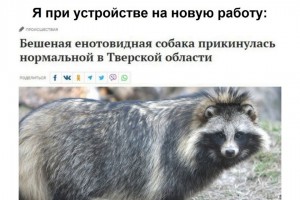 Я при устройстве на работу