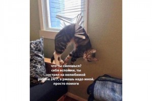 Просто помоги!