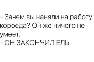 Зачем вы наняли короеда?