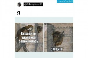 Удаленка закончилась