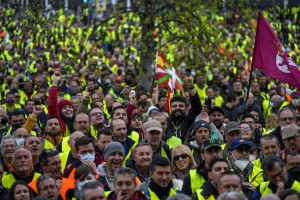 Дизельные протесты