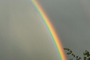 Фотоконкурс «Профсоюзная ВДНХ» стартовал в Коми