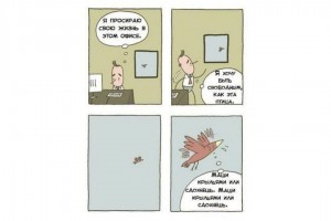 Хочу быть свободным как птица