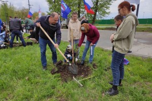 Профсоюзы приняли участие в акции "Аллея семей Самарской области"