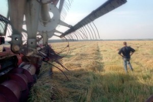 Техническое поражение