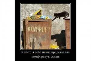 Комфортная жизнь
