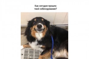 Не то место, куда хотела