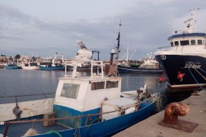 Ни один иностранный судовладелец не отказался трудоустраивать российских моряков