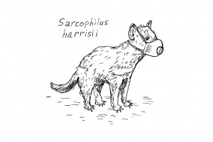 Почему мы не дьяволы