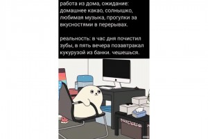 Работа из дома: ожидание и реальность