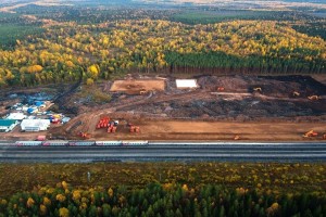 Представители Рослеспрофсоюза проверили восстановление леса на Шиесе