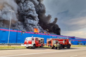 “Озон” и воздух свободы