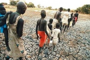 Беженцы поработают без разрешений