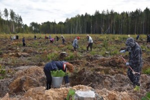 В Марий Эл состоялась осенняя посадка леса