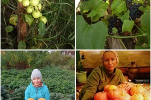 Итоги "Профсоюзной ВДНХ" подвели в Коми