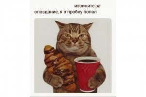 Попал в пробку