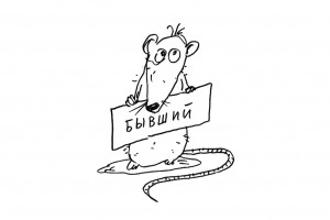 Любви все новости покорны