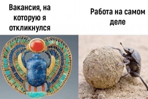 Вакансия, на которую я откликнулся