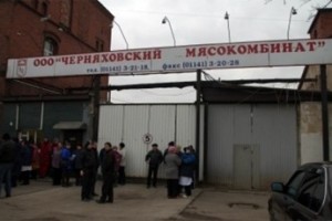 Чума покарала жадных