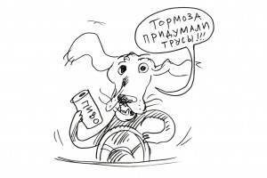 Сила воли и воля силы