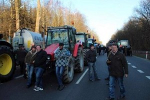 Свиноводы негодуют