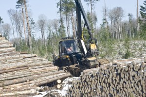 Лесопромышленники потребовали от правительства большей поддержки