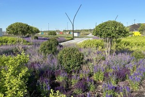 Магнитогорский металлургический комбинат вложил более 70 млрд рублей в модернизацию производства