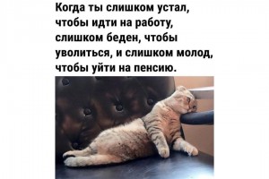 Трудный выбор