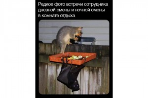 Встреча сотрудников дневной и ночной смены