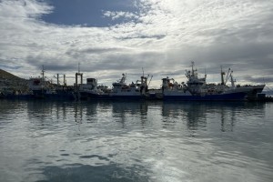 «Россия производственная» посетила колхоз им. Ленина