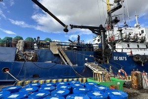 Здесь рыба есть!