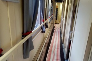 Проводница, высадившая кота Твикса из поезда, отстранена от работы