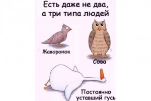 Три типа людей